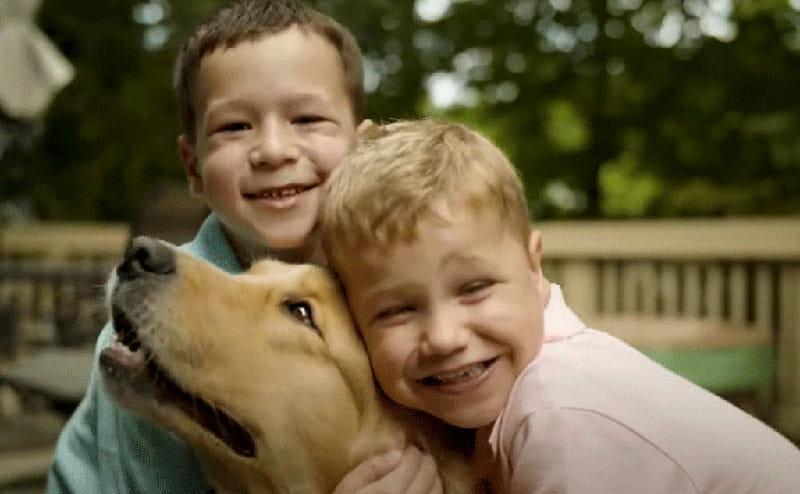 芬恩·凯利和他的兄弟拥抱他们的狗